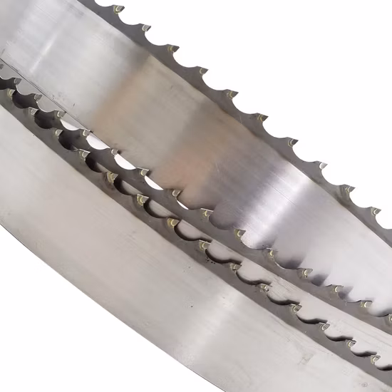 Puntas de carburo de tungsteno Hojas de sierra de cinta para cortar madera Tct para madera dura Hoja de sierra de cinta de carburo para cortar madera dura Hoja de sierra de cinta con punta de carburo para troncos