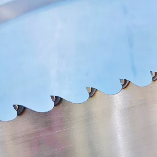 Hoja de sierra de cinta con punta de carburo de madera Tct para corte de madera